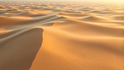 Endless Waves of Sunlit Desert Dunes Stretching Toward the Horizon