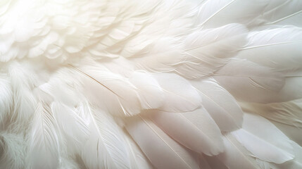 Obraz premium Closeup, white and feathers background for peace, calm and spirituality for God, religion and hope. Ai generated, feather and bird plumage for creative banner, texture or detail space for angel faith
