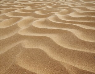 Beautiful patterns of golden sand waves in sunlit desert terrain.