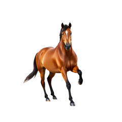 Obraz premium Majestic Horse in Motion: A stunning chestnut horse with flowing mane strides powerfully forward, showcasing the elegance and grace of this beautiful creature in a captivating pose.