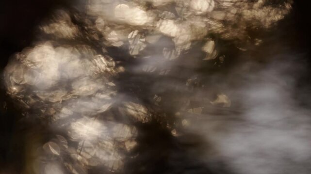 arri&egrave;re plan avec billes de bokeh glissant sur l'eau, derri&egrave;re des v&eacute;g&eacute;taux;, avec un petit voile