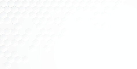 Abstract modern hexagon background. White and grey honey pattern geometric texture. Vector art illustration