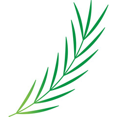 Palm Leaf Decoration