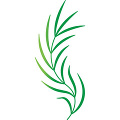 Palm Leaf Decoration