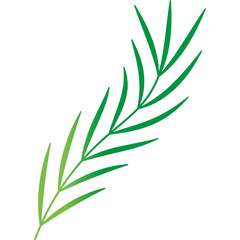 Fototapeta premium Palm Leaf Decoration