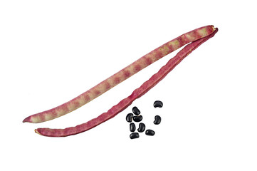 black bean nut and seeds on a white,isolated