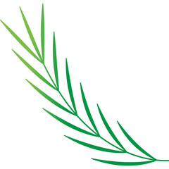 Palm Leaf Decoration