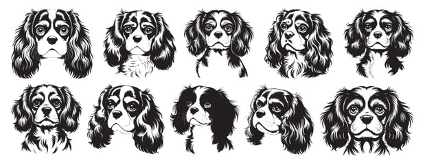 Obraz premium Vintage Cavalier King Charles Spaniel Dog Head Illustrations Set – Black and White Hand Drawn Pet Portraits