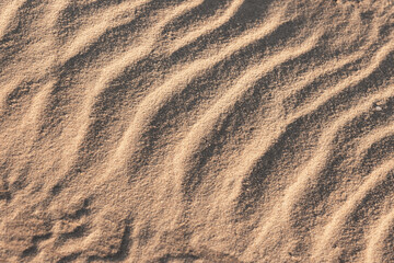 Rippling sand patterns created by the wind, top view