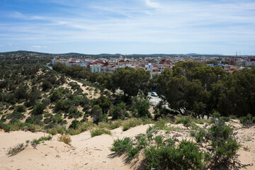 Obraz premium View of Essaouira, Morocco, from sandy hill with green vegetation, and city buildings under blue sky