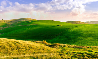 Fototapeta premium countryside green field during sunrise of sunset in warm light. beautiful spring landscape in the mountains. grassy field and hills. rural scenery