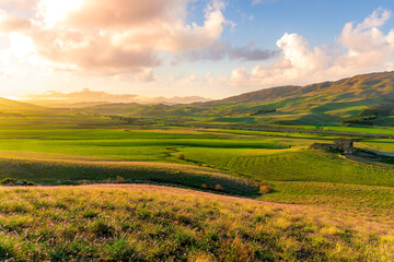 Obraz premium panoramic spring season landscape of beautiful greel field with yellow and salad hills and mountains in countryside