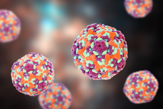 Enteroviruses, 3D illustration showing spherical, non-enveloped RNA viruses responsible for diseases like meningitis, myocarditis, hand-foot-mouth disease.