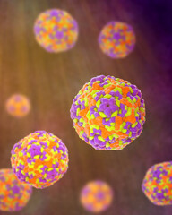 Enteroviruses, 3D illustration showing spherical, non-enveloped RNA viruses responsible for diseases like meningitis, myocarditis, hand-foot-mouth disease.