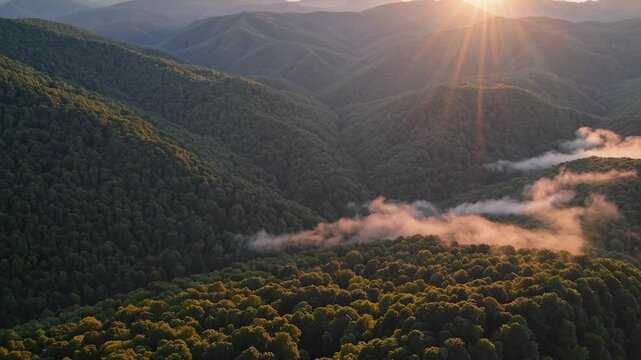 CGI drone aerial footage of Great Smoky Mountains National Park&mdash;perfect for showcasing misty peaks, lush forests, and the serene beauty of this iconic landscape.