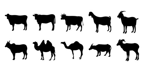 Eid Al Adha Animal Silhouette