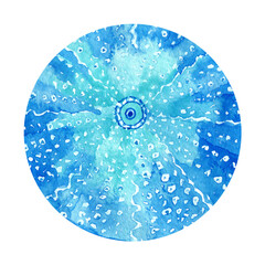 Sea urchin blue watercolor hand drawn illustration