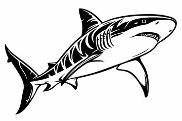tiger shark sihouette black vector
