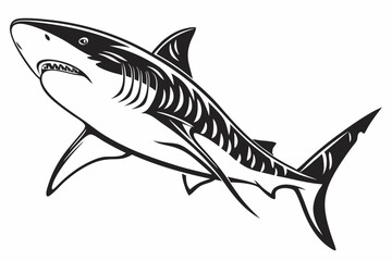 tiger shark sihouette black vector