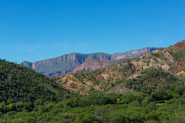Landscapes near Cafayate