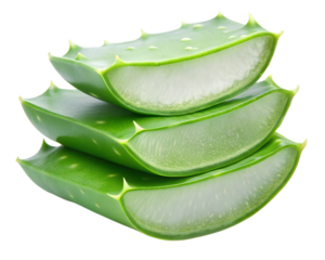 aloe vera leaf slices isolated on white background.  PNG Transparent file type with High Definition  Quality
