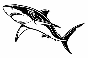 shark sihouette black vector