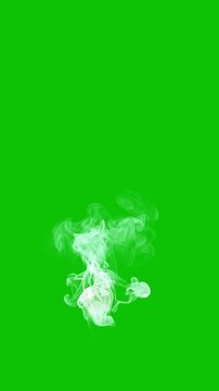 Thin White Wispy Smoke with very Low Density going up Slowly on a uniform Green Background