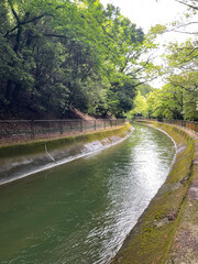 新緑の山科疏水