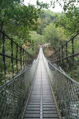 Wooden Suspension Bridge Pathway Through Lush Green Forest Hiking Trail