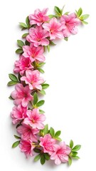 Fototapeta premium Delicate Pink Azalea Flowers and Green Leaves Arranged in a Crescent Shape