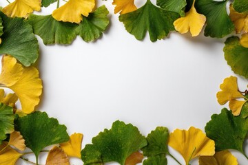 Ginkgo Biloba Leaf Frame: A vibrant frame composed of green and golden ginkgo biloba leaves arranged on a white background, creating a natural border for text or images.