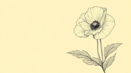 A single flower accompanied by leaves is depicted in elegant line art on a cream-colored background