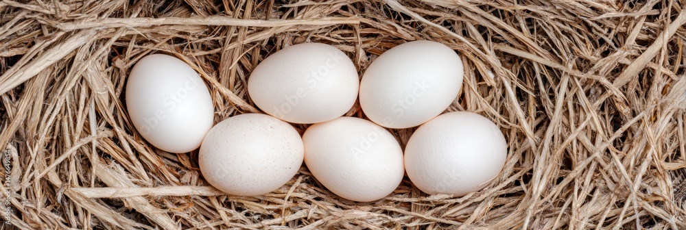 Poster freshly laid eggs nestled in a straw nest with a blank space ready for customization