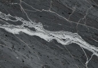 Black and gray marble stone background, fossil texture, illuminated by soft studio lighting, showcasing intricate details.