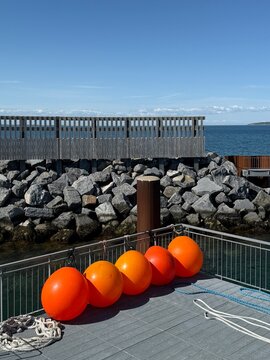 Row of orange buoys with assorted mooring ropes in a harbour, Saelvig, Samsoe, Jutland, Denmark