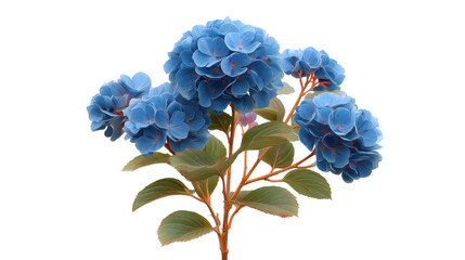 Obraz premium Blooming blue hydrangea flowers botanical garden photography natural light close-up view floral beauty