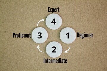 What are the 4 different types of skill levels? beginner, intermediate, proficient or expert. you can define your abilities for certain hard skills and soft skills
