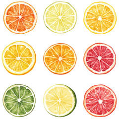 Obraz premium collection of citrus fruit round slices