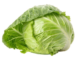 Obraz premium Close-Up of a Fresh Green Cabbage Isolated on transparent background cutout, PNG file, Cutout file