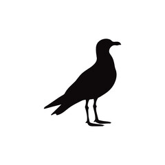 Obraz premium Silhouette of a Standing Seagull Bird Silhouette of a bird standing with distinct features captured in a simplistic vector illustration. The black outline against a white background