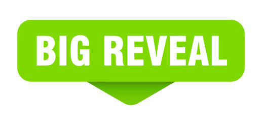 big reveal sticker. big reveal sign on transparent background