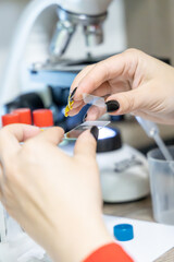 A close-up of a woman’s hands preparing a microscope slide with a soil sample. Concept of laboratory testing in soil microbiology and bacteria analysis for agriculture.

