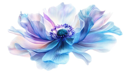 purple blue flower isolated on white surface