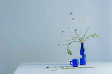 dandelions in blue bottle on blue background