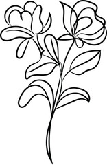 Elegant Line Art Floral Illustration Two Flowers Leaves Stem
