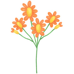 Watercolor Orange Daisy Clipart — Hand-painted Flower PNG