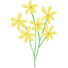 Watercolor Yellow Daisy Clipart — Hand-painted Wildflower PNG