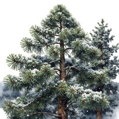 Watercolor-Pine-Tree-Snow-Winter-Forest-Illustration-Nature-Background-Scenic
