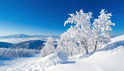 Obraz premium Snowy mountain landscape with frosted trees (1)