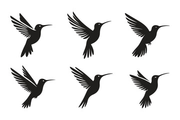 set of  Hummingbird silhouette